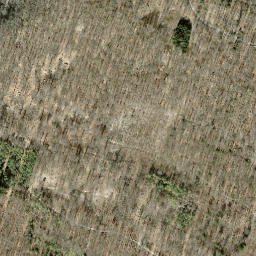 Satellite imagery of Chornberg, CH