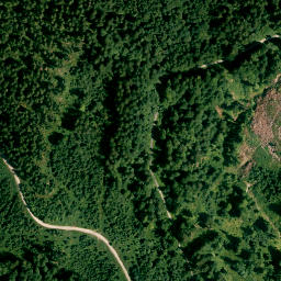 Satellite imagery of Schmalenberg, DE