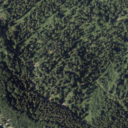 Satellite imagery of Ameiskogel, AT