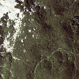 Satellite imagery of Scheibwaldhöhe, AT