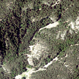 Satellite imagery of Saurüssel, AT
