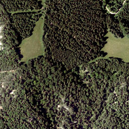 Satellite imagery of Saurüssel, AT