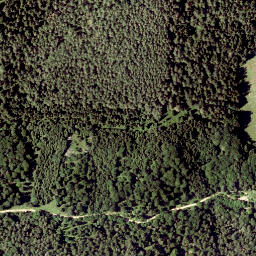Satellite imagery of Schwarzenberg, AT