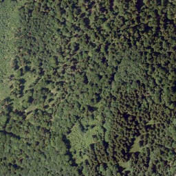 Satellite imagery of Feichtenstein, AT