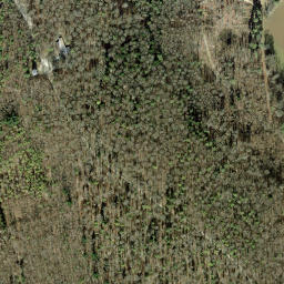 Satellite imagery of Beringer Randenturm, CH