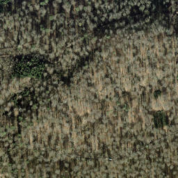 Satellite imagery of Rauhenberg, DE