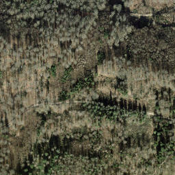 Satellite imagery of Rauhenberg, DE