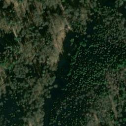 Satellite imagery of Wittmiß, DE