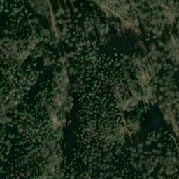 Satellite imagery of Wittmiß, DE