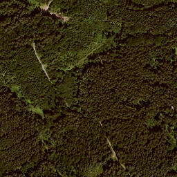 Satellite imagery of Speltberg, DE