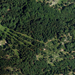 Satellite imagery of Schortenkopf, DE