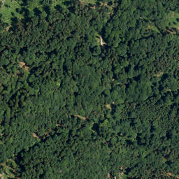 Satellite imagery of Schortenkopf, DE