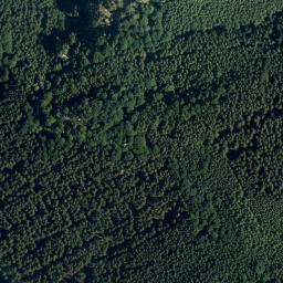 Satellite imagery of Rehleitenkopf, DE