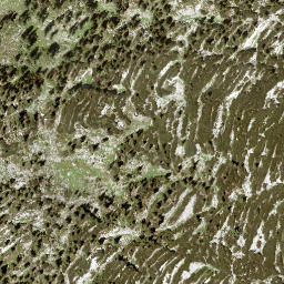 Satellite imagery of Lechrinn Kogel, AT