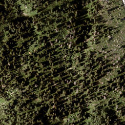 Satellite imagery of Tann Berg, AT