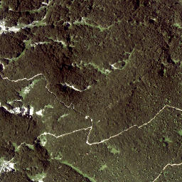 Satellite imagery of Predigtstuhl, AT