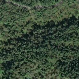 Satellite imagery of G 385 — NGS SY0217 — King County, US, US