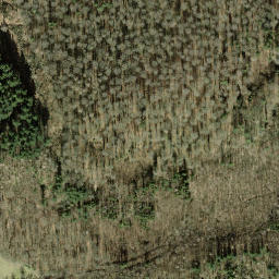 Satellite imagery of Rauhenberg, DE