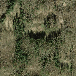 Satellite imagery of Rauhenberg, DE