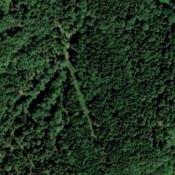 Satellite imagery of Zwergerlberg, DE