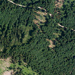 Satellite imagery of Lahnenkopf, DE