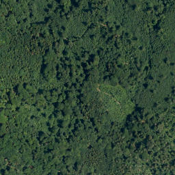 Satellite imagery of Falkenberg, DE