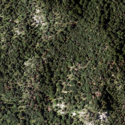 Satellite imagery of Baumkögeln, AT