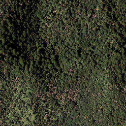 Satellite imagery of Baumkögeln, AT