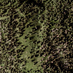 Satellite imagery of Tann Berg, AT