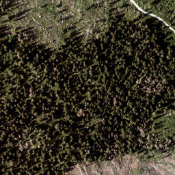 Satellite imagery of Tann Berg, AT