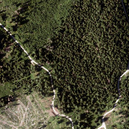 Satellite imagery of Tann Berg, AT
