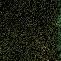 Satellite imagery of Schweinberg, DE