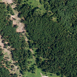 Satellite imagery of Lahnenkopf, DE