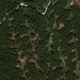 Satellite imagery of Grießelberg, DE