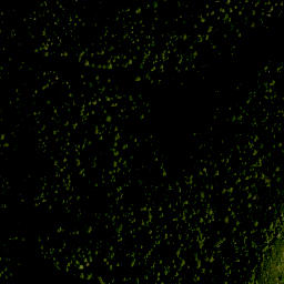 Satellite imagery of Ristfeuchthorn, DE