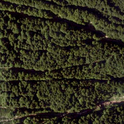 Satellite imagery of Königsberg Horn, AT