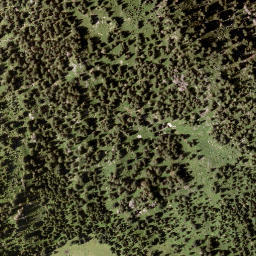 Satellite imagery of Tann Berg, AT