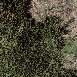 Satellite imagery of Tann Berg, AT