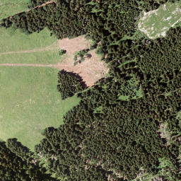 Satellite imagery of Tonion, AT