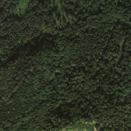 Satellite imagery of Wirtsalpkopf, DE