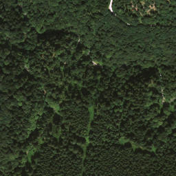 Satellite imagery of Wirtsalpkopf, DE