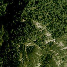 Satellite imagery of Bogenhorn, DE
