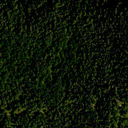 Satellite imagery of Ristfeuchthorn, DE