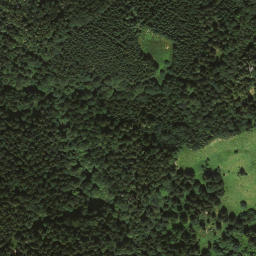 Satellite imagery of Wirtsalpkopf, DE