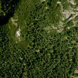 Satellite imagery of Bogenhorn, DE