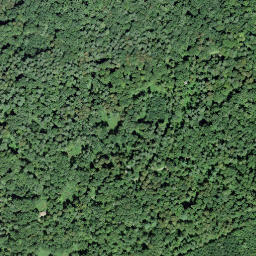 Satellite imagery of Nellenburgerstein, FR