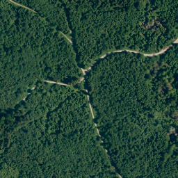 Satellite imagery of Buchachbichel, DE