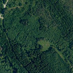 Satellite imagery of Buchachbichel, DE