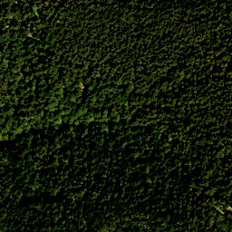 Satellite imagery of Vogelkopf, DE