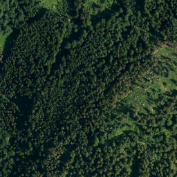 Satellite imagery of Wildbarren, DE